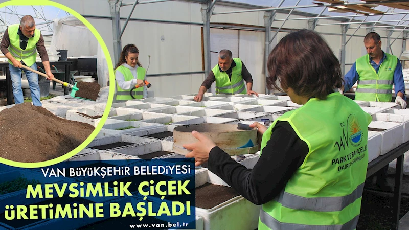 VAN BÜYÜKŞEHİR BELEDİYESİ MEVSİMLİK ÇİÇEK ÜRETİMİNE BAŞLADI