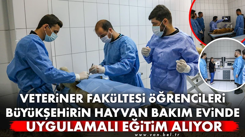 VETERİNER FAKÜLTESİ ÖĞRENCİLERİ BÜYÜKŞEHİRİN HAYVAN BAKIM EVİNDE UYGULAMALI EĞİTİM ALIYOR